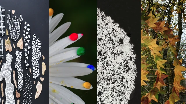 Capture Decran 2025 07 31 A 11.46.04 1