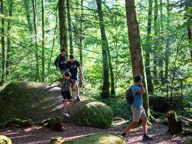 Monts de Guéret