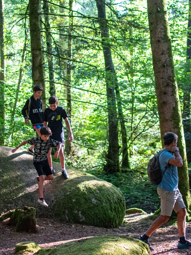 Monts de Guéret
