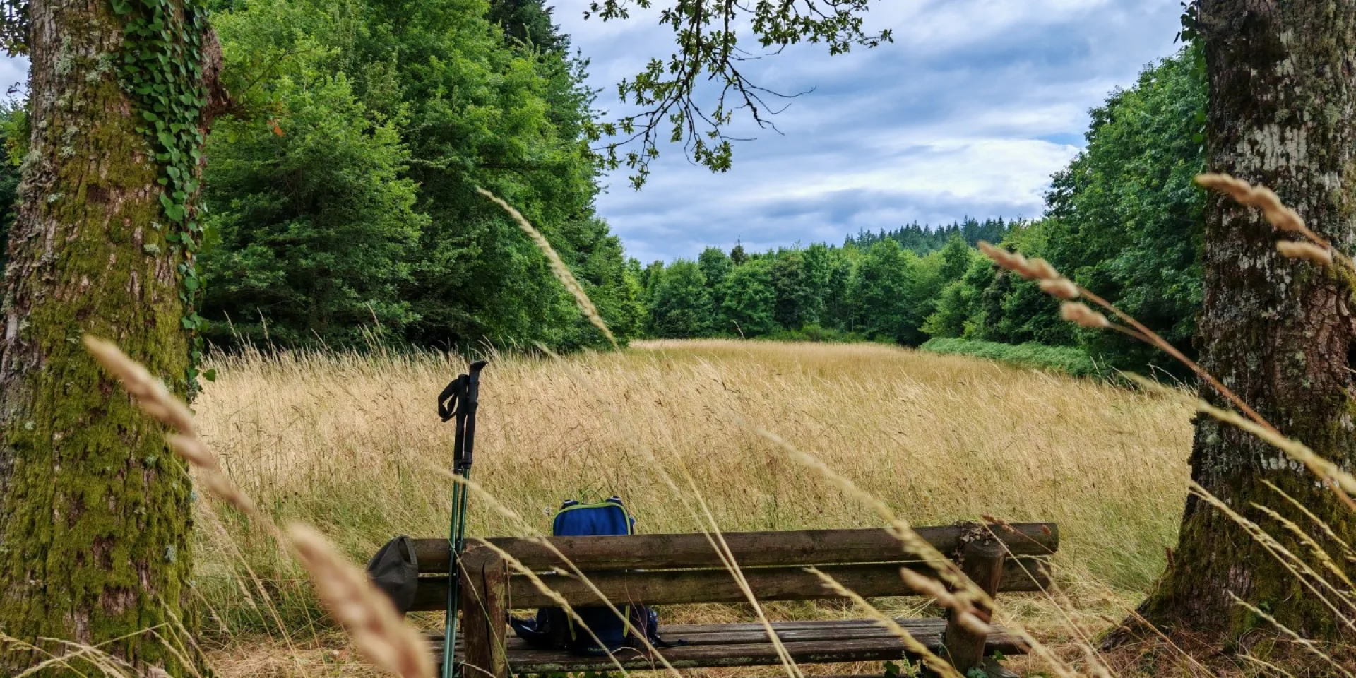 Randonnée Forêt de Chantegris