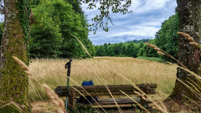 Randonnée Forêt de Chantegris