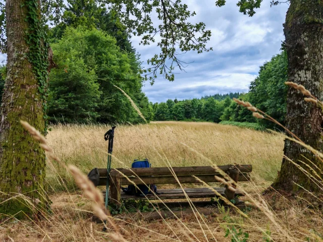 Randonnée Forêt de Chantegris