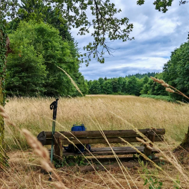 Randonnée Forêt de Chantegris