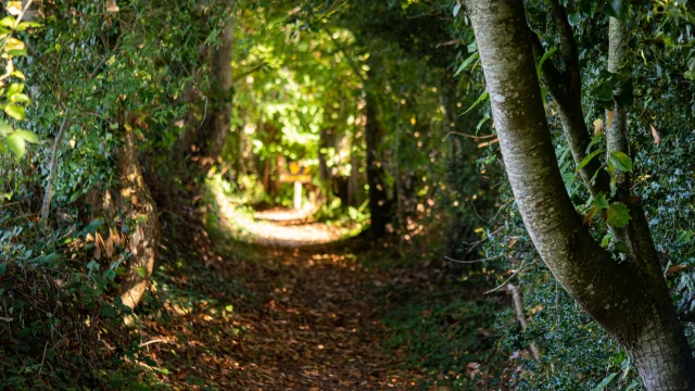 Randoguide Saint Agnant De Versillat - ©R. Conversion 1