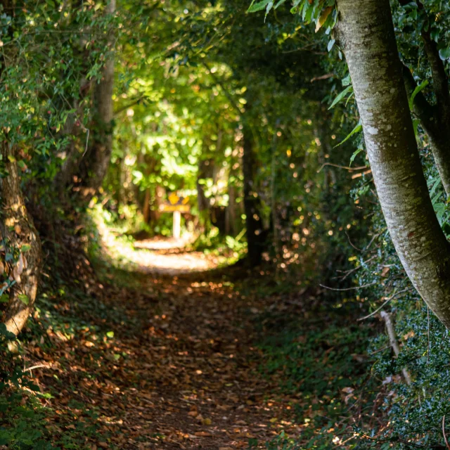 Randoguide Saint Agnant De Versillat - ©R. Conversion 1