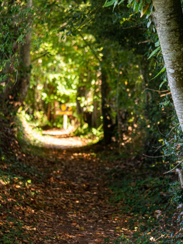 Randoguide Saint Agnant De Versillat - ©R. Conversion 1