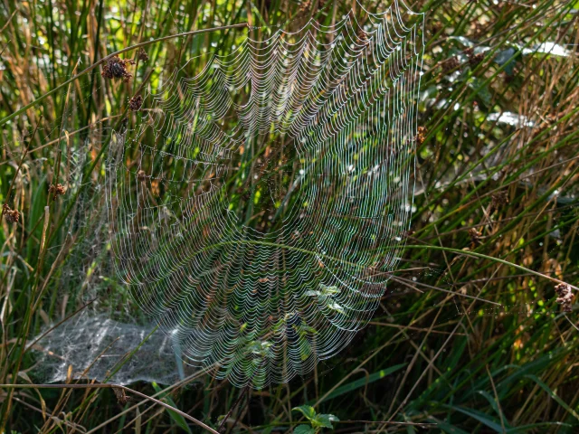 Randoguide Saint Agnant De Versillat - ©R. Conversion 3