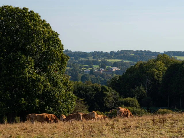 Randoguide Saint Agnant De Versillat - ©R. Conversion 6