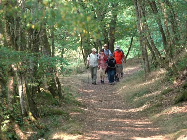 Chambon Voueize Rando Gorges Voueize Saison Or1 0