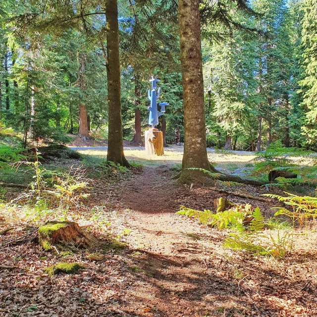 Forêt de Chabrières - Forêt Follies