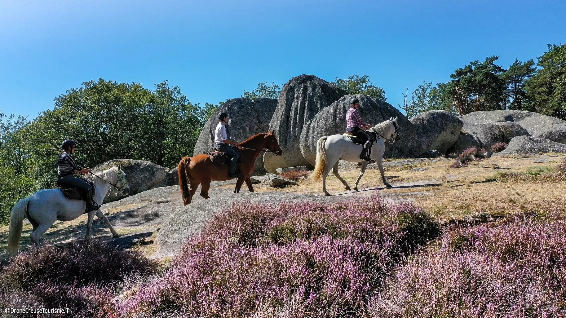Cheval en Creuse - ©Creuse Tourisme