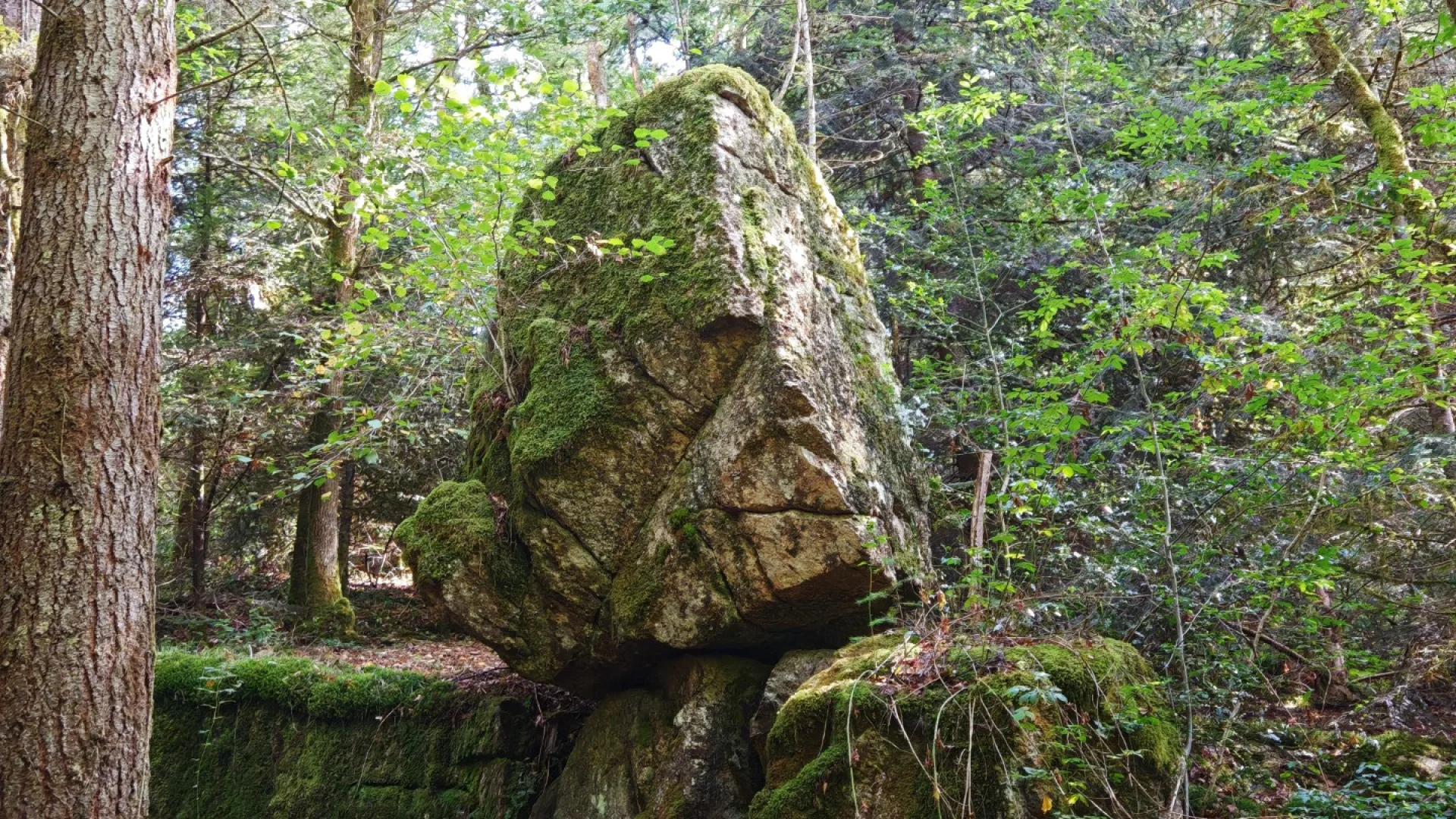 La Roche Branlante CSO
