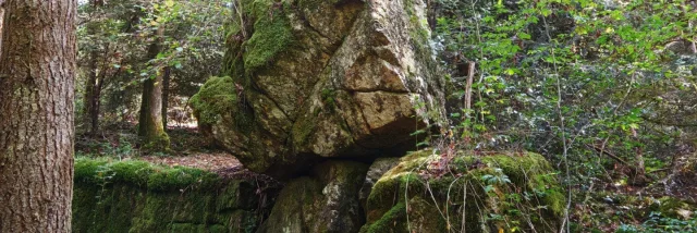 La Roche Branlante CSO