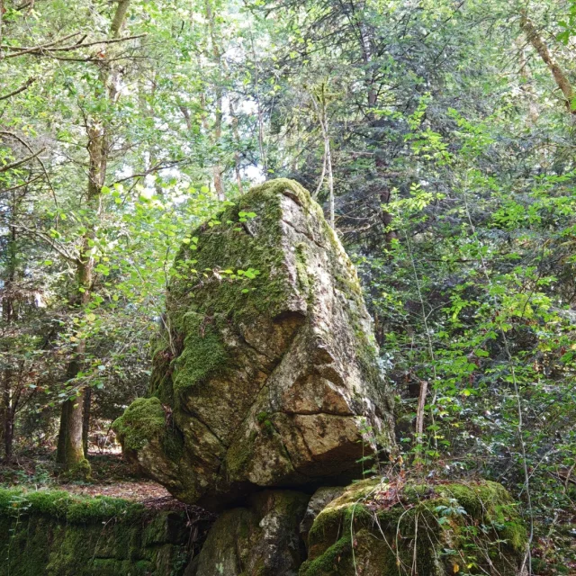 La Roche Branlante CSO
