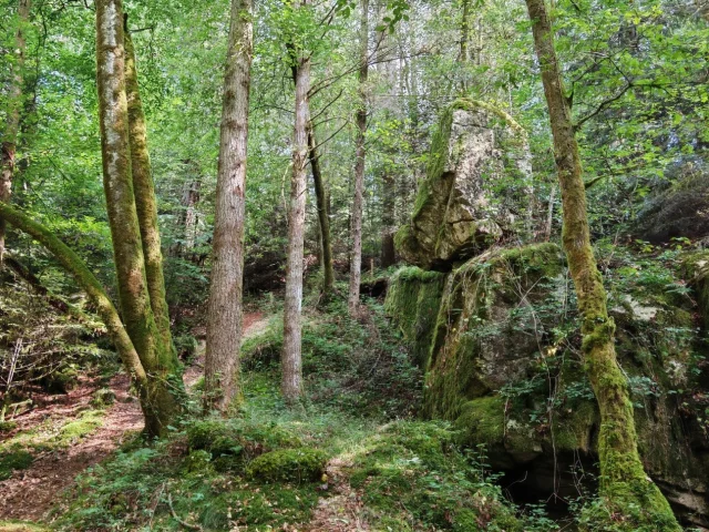 La Roche Branlante CSO