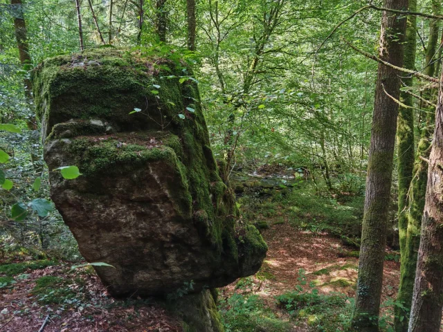La Roche Branlante CSO