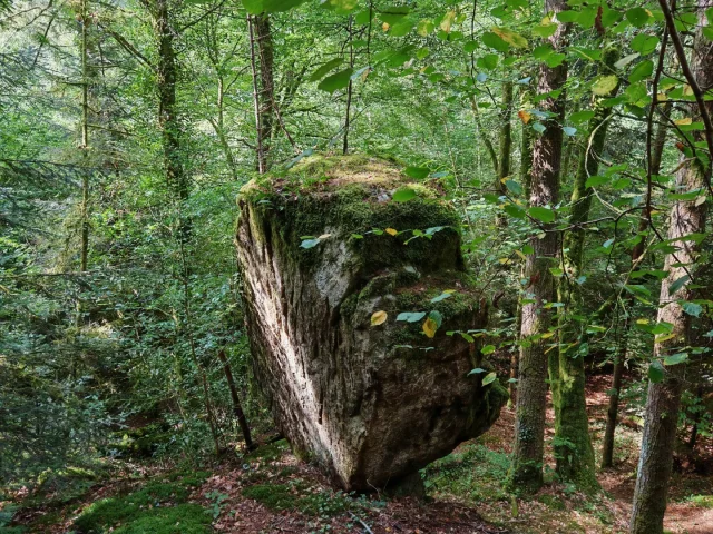 La Roche Branlante CSO