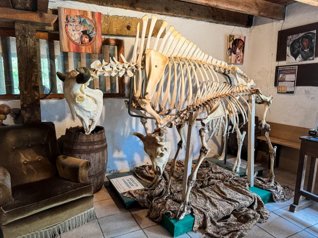 Lesbisonsdupalaiscreusetourisme 10