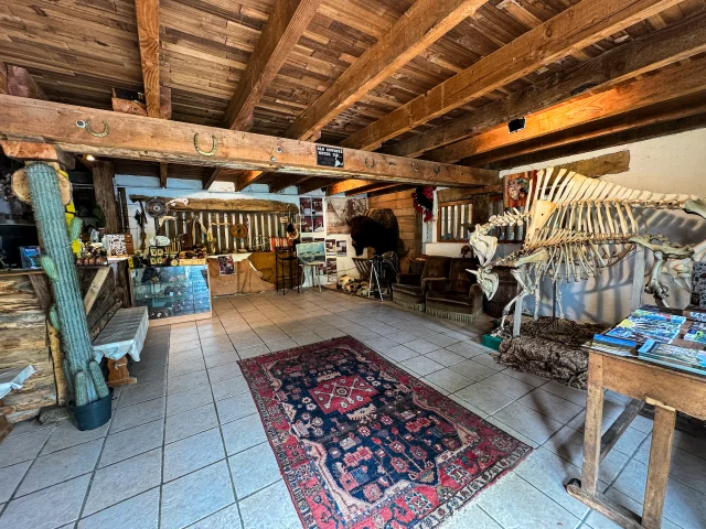Lesbisonsdupalaiscreusetourisme 12