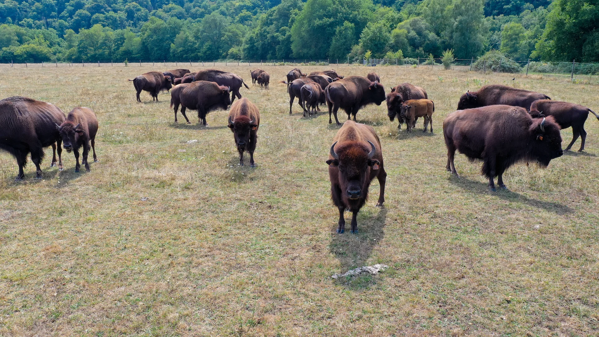 Lesbisonsdupalaiscreusetourisme 3