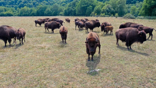 Lesbisonsdupalaiscreusetourisme 3