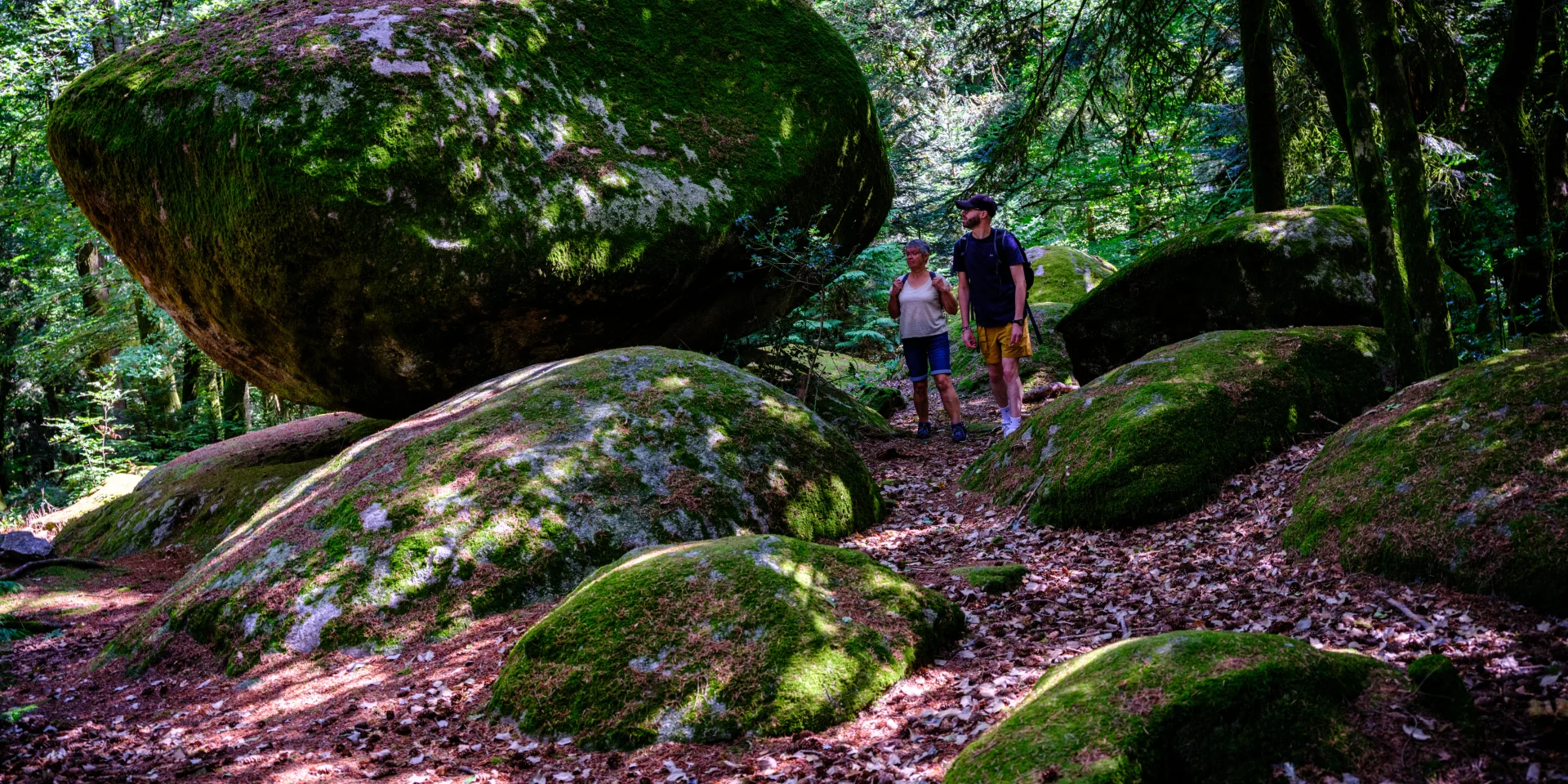 Pierres à légendes de Chabrières - Monts de Guéret