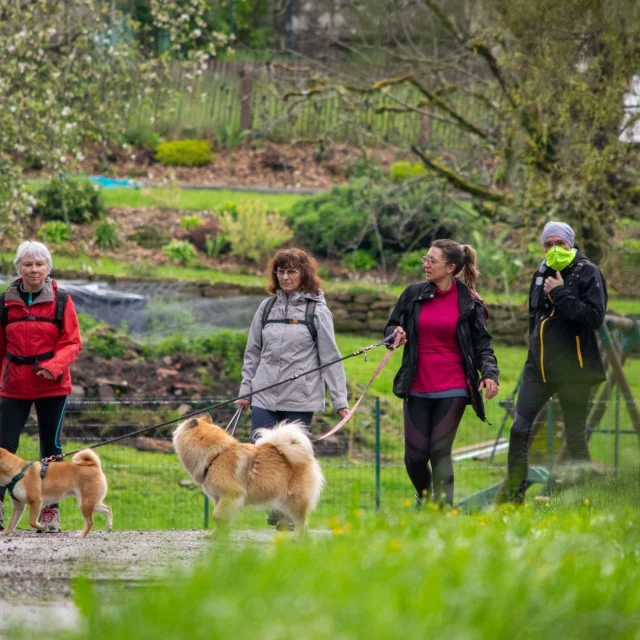 La Transmillevaches 2024 - ©Creuse Tourisme