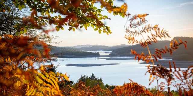 Paysage Lac Automne Vassiviere©Maxime Authier