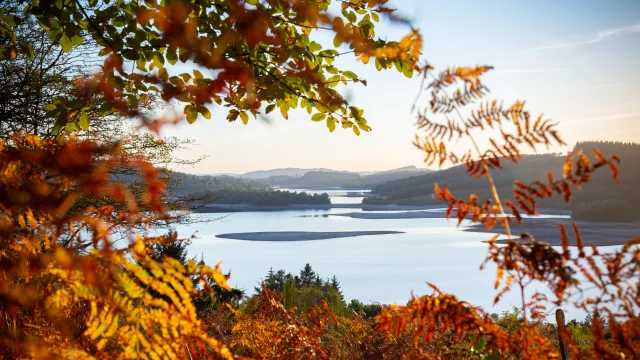 Paysage Lac Automne Vassiviere©Maxime Authier