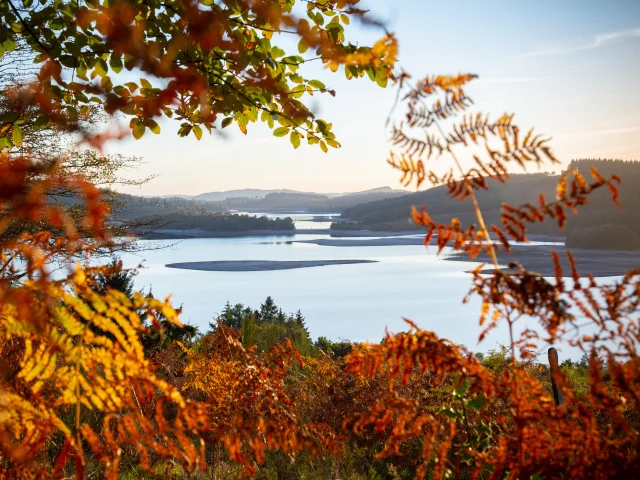 Paysage Lac Automne Vassiviere©Maxime Authier