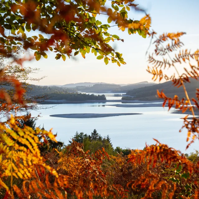 Paysage Lac Automne Vassiviere©Maxime Authier