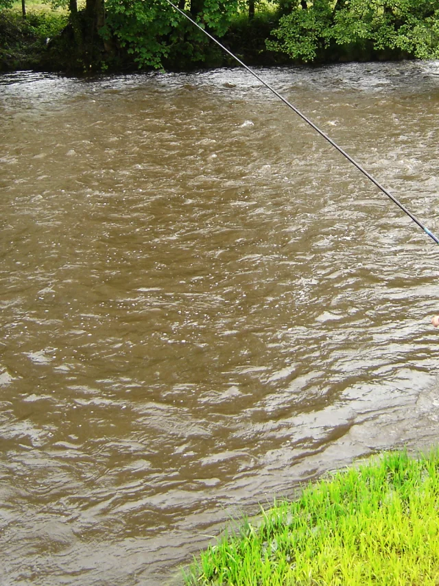 Sw Peche Eric Cluzel