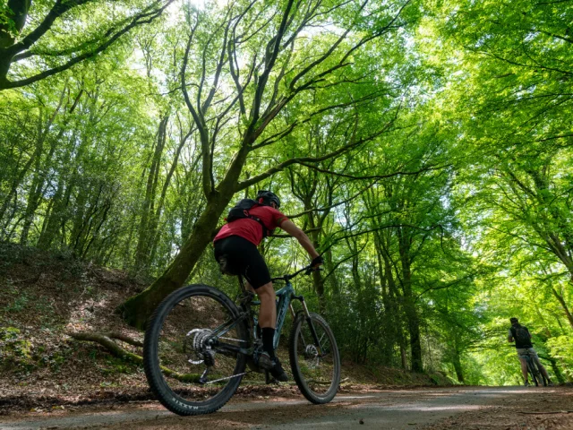 Saint Vaury Sainte Feyre Gtc Vtt 2021 Guillaume Condat Creuse Tourisme11.jpg 1024px