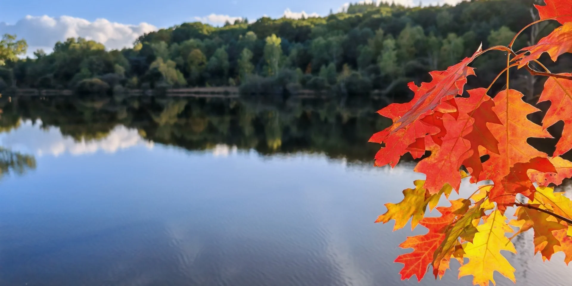 Paysages d'automne en Creuse Sud Ouest