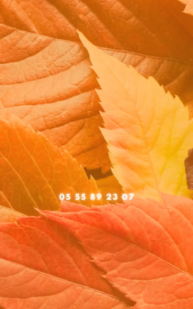 Orange-Feuilles-Automne-Facebook-Couverture-4-1.png