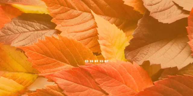 Orange-Feuilles-Automne-Facebook-Couverture-4-1.png