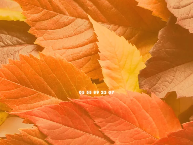 Orange-Feuilles-Automne-Facebook-Couverture-4-1.png