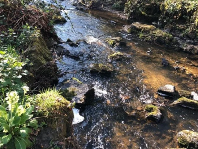 Photo 2025 10 02 11 34 21