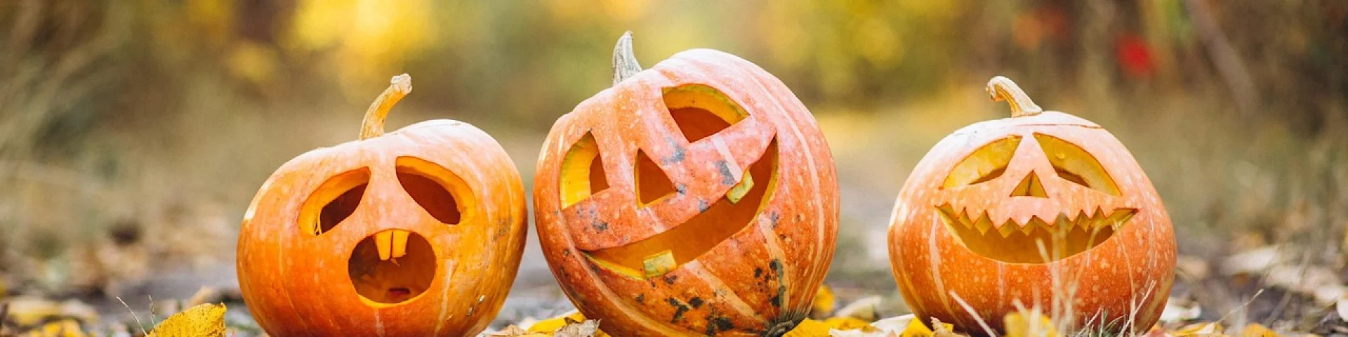 Pumpkin 6720424 1280