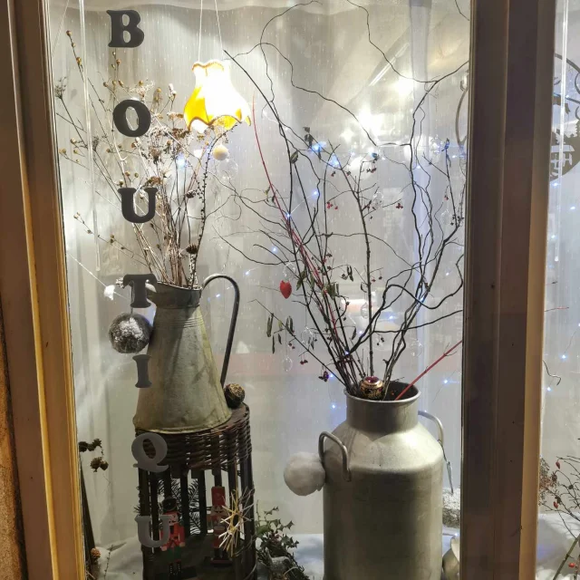 Vitrine de Noël
