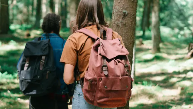 Balade en forêt dans la Creuse