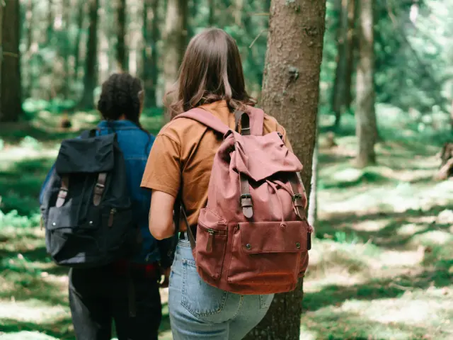 Balade en forêt dans la Creuse