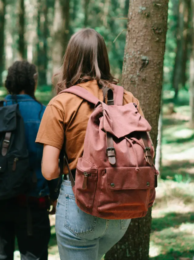 Balade en forêt dans la Creuse
