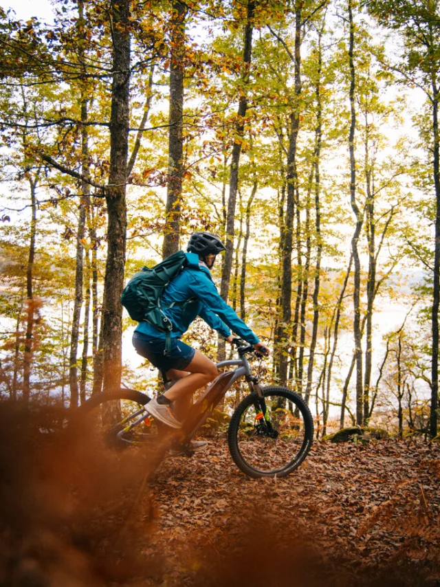 Royere Vassiviere Clara Ferrand Creuse 2022.jpg 1024px