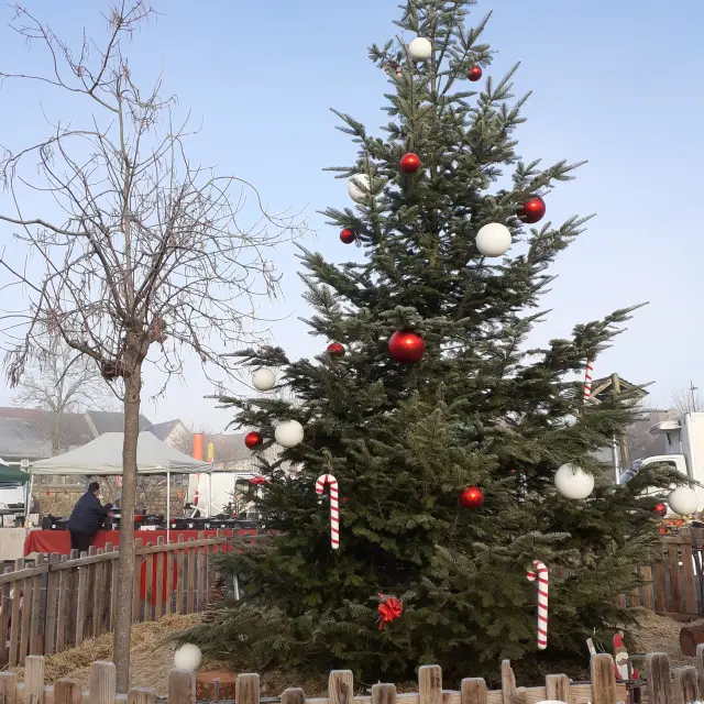 20231217 094808 Rotated