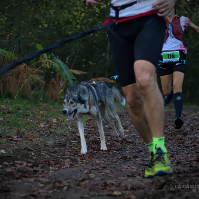 La Cani Creusoise - ©EAA