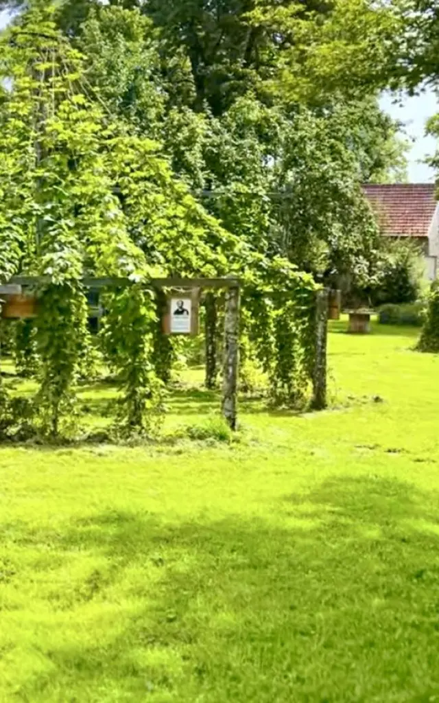 Houblonnière - Avalée de la Kreuze