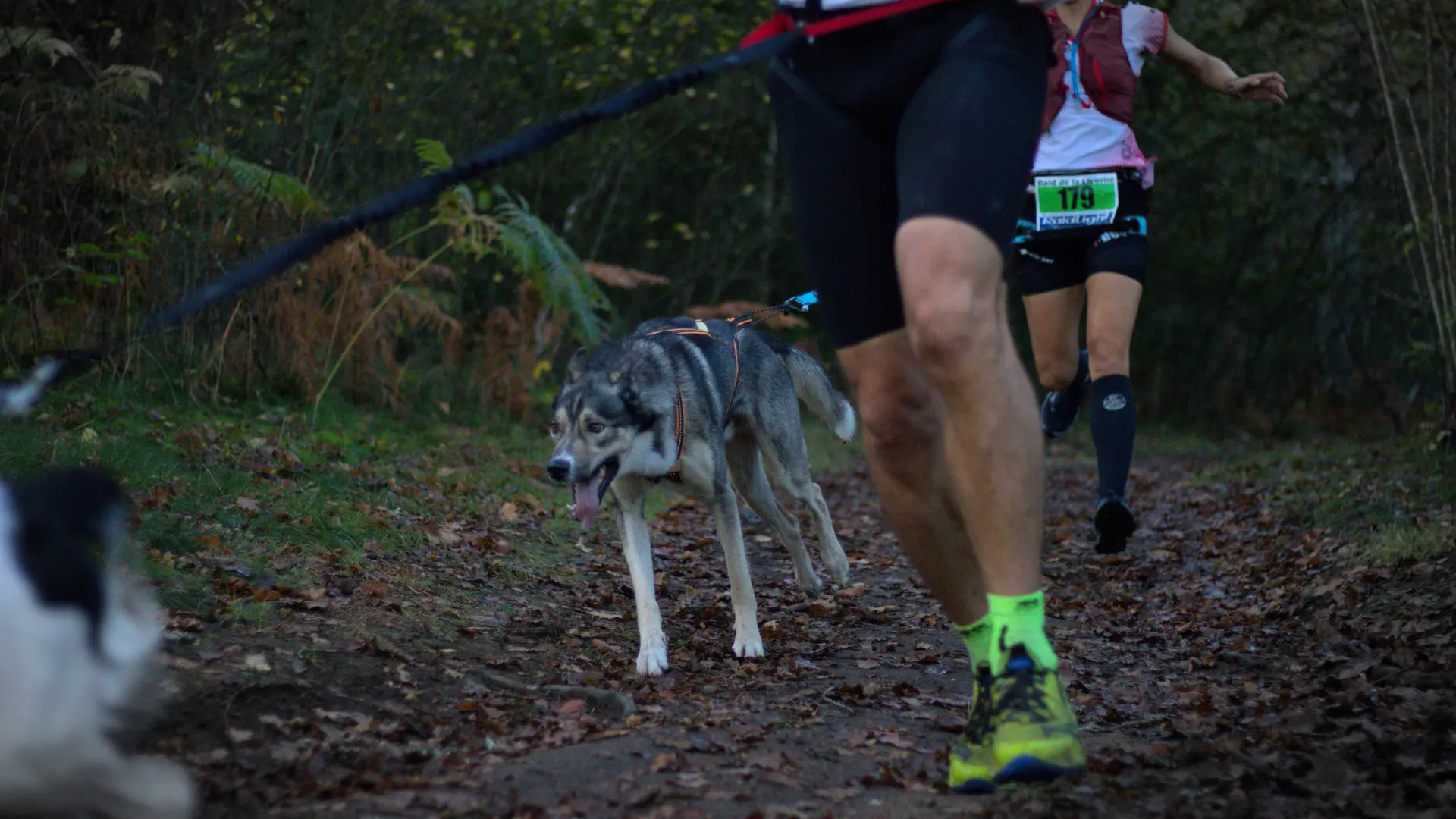La Cani Creusoise - ©EAA