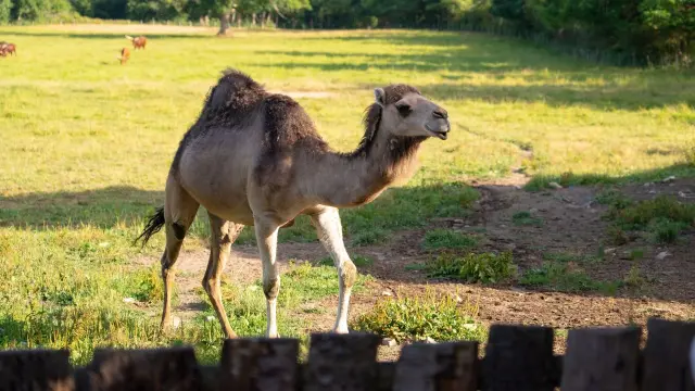 La Ferme des Clautres - ©Les Coflocs