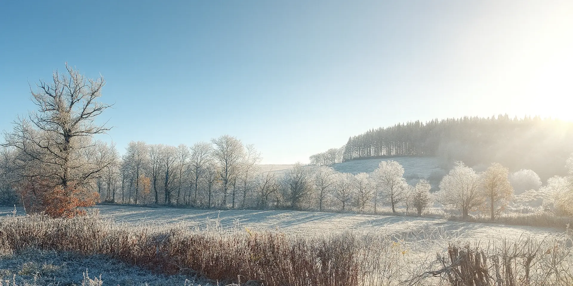 Mca Paysage Hivernal Ccmca